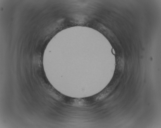 X0000081300612200702012311