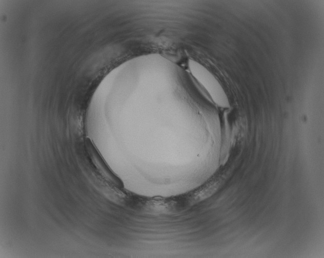 X0000081300613200702012311