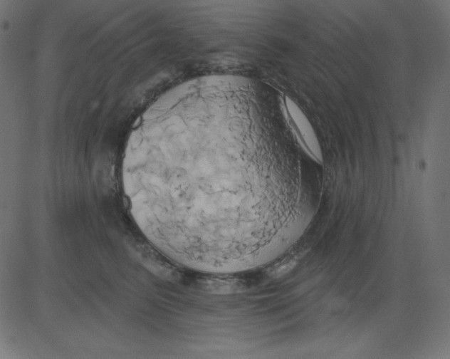 X0000081300615200702012311