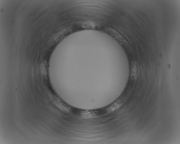 X0000081300616200702012311