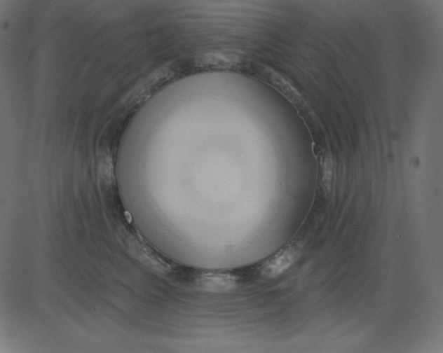 X0000081300617200702012311