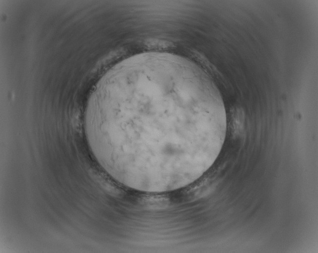 X0000081300619200702012311