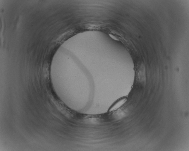 X0000081300620200702012311