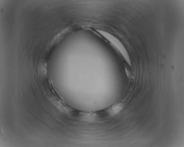 X0000081300621200702012311