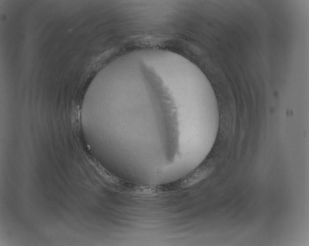 X0000081300624200702012311