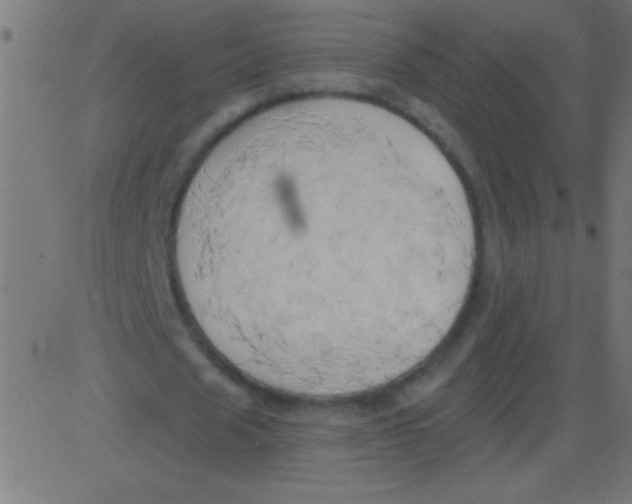 X0000081300625200702012310