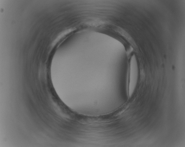 X0000081300626200702012310