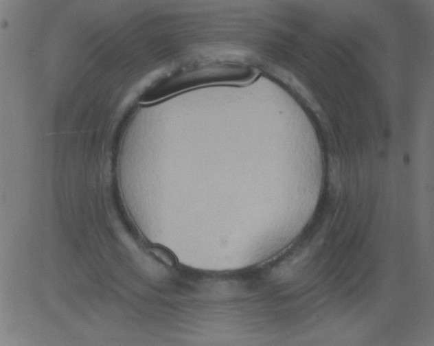 X0000081300629200702012310