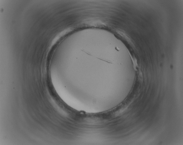 X0000081300630200702012310