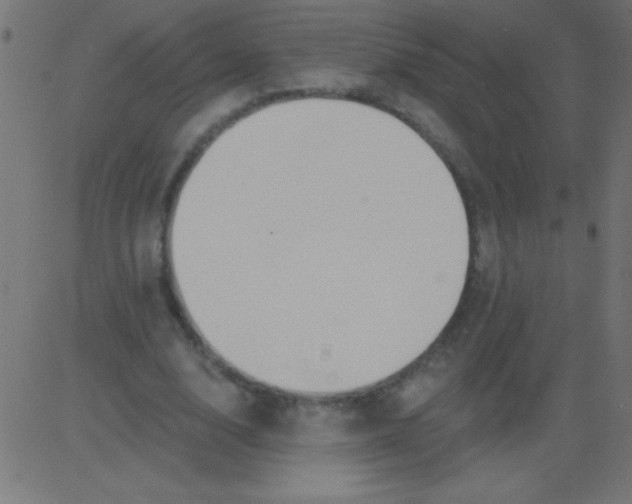 X0000081300632200702012310