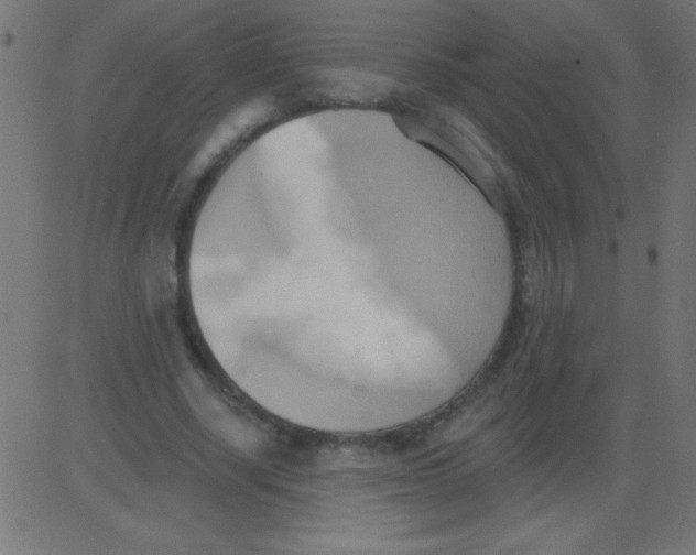 X0000081300634200702012310