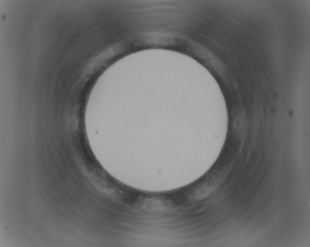 X0000081300635200702012310