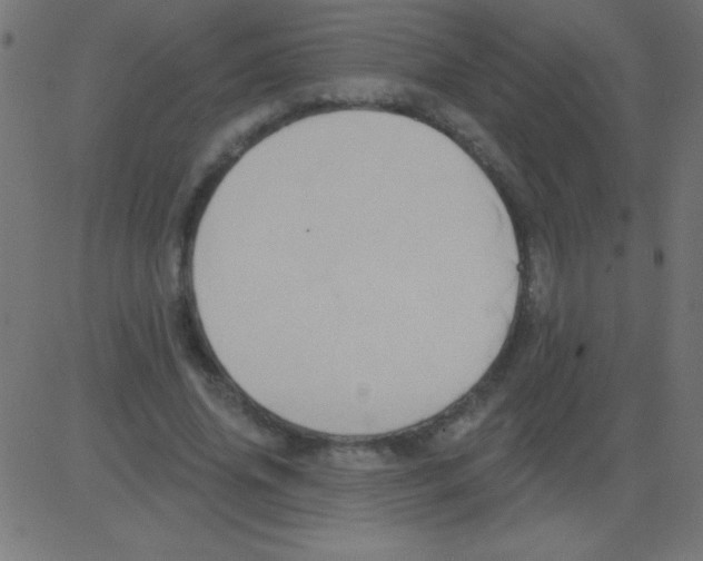 X0000081300636200702012310