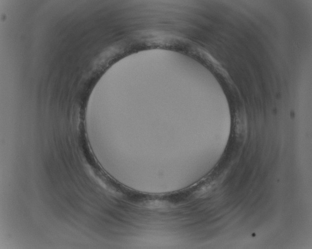 X0000081300637200702012310