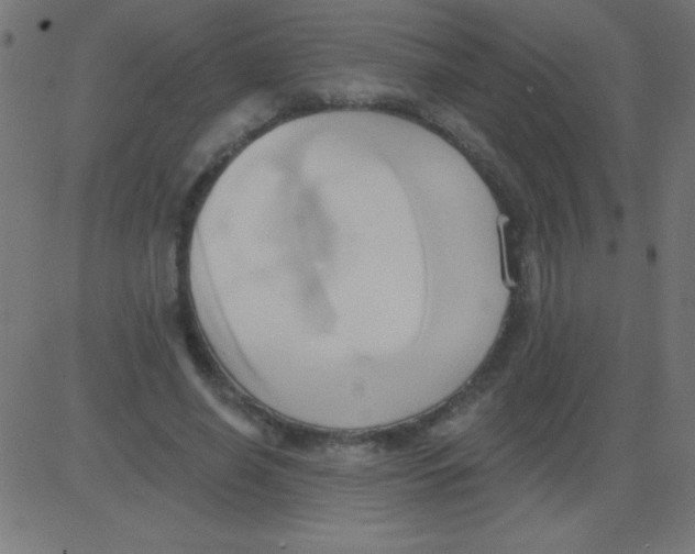 X0000081300638200702012310