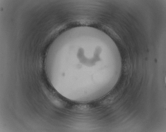 X0000081300639200702012310