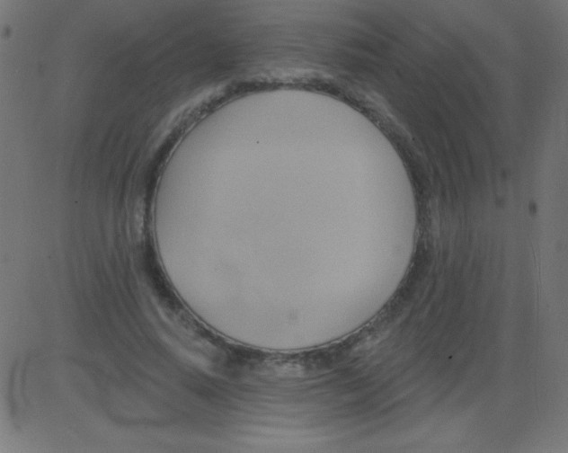 X0000081300640200702012310