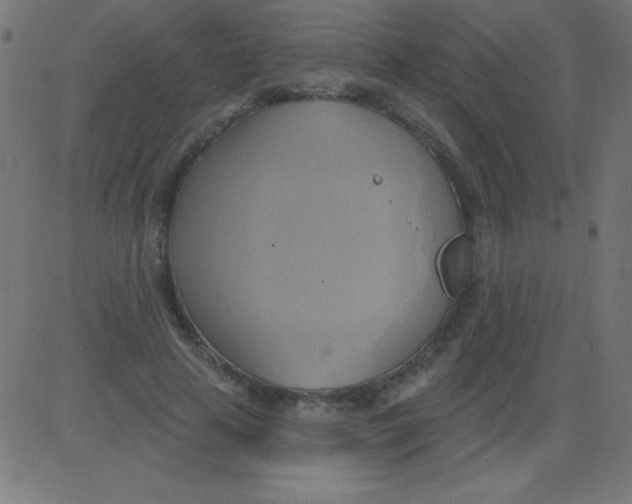 X0000081300641200702012310