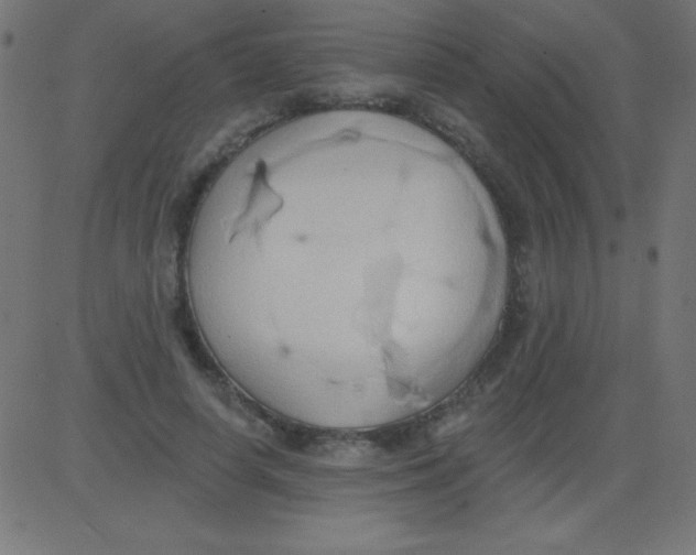 X0000081300642200702012310