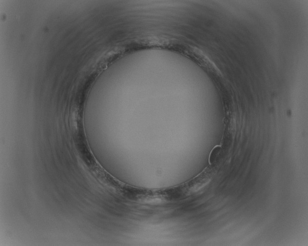 X0000081300643200702012310