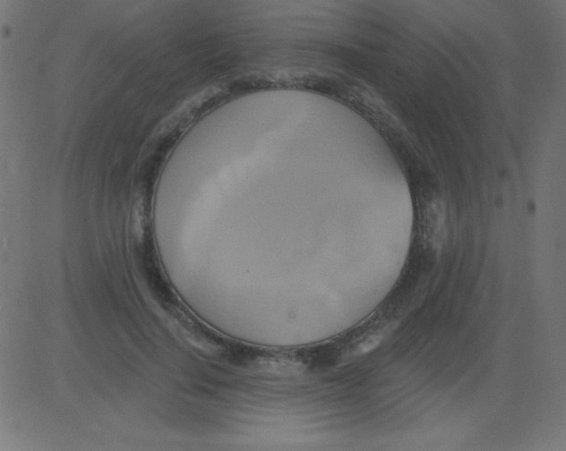 X0000081300644200702012310