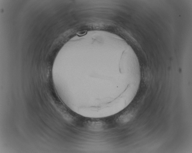 X0000081300645200702012310