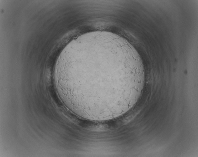 X0000081300646200702012310