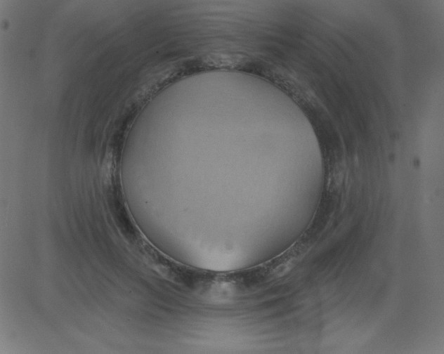 X0000081300647200702012310