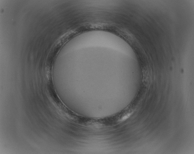 X0000081300648200702012310