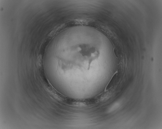 X0000081300649200702012310