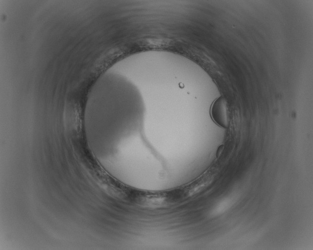 X0000081300651200702012310