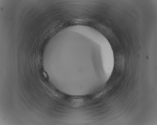 X0000081300653200702012310