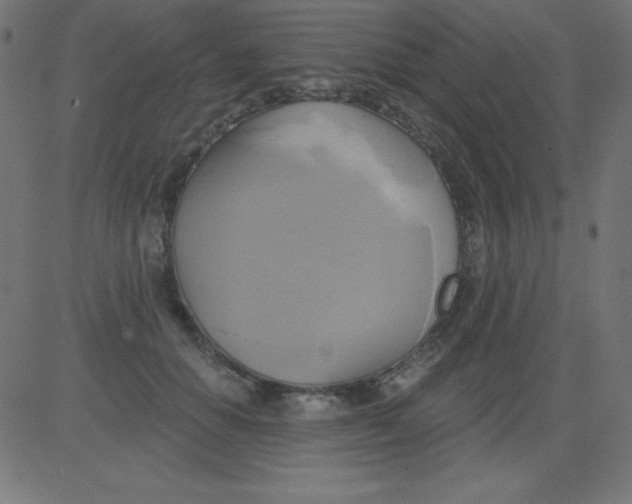 X0000081300654200702012310