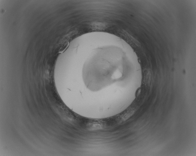 X0000081300655200702012310