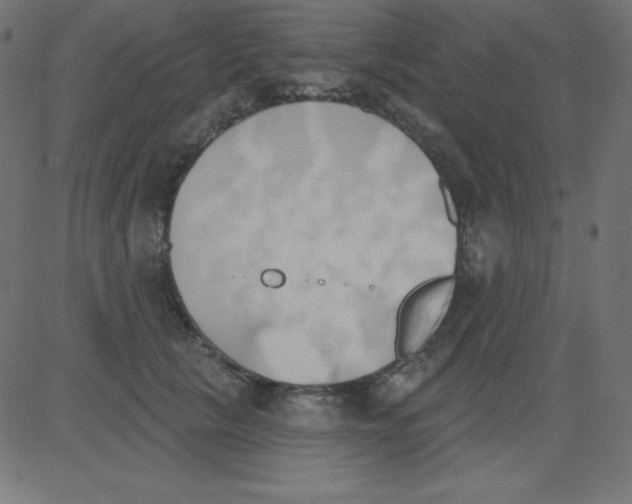 X0000081300657200702012310