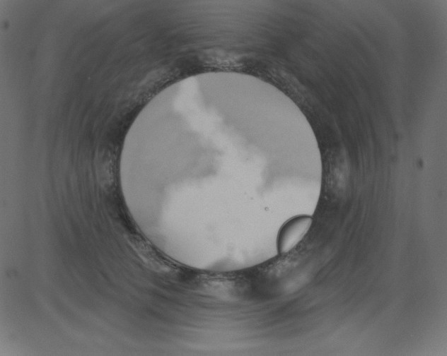 X0000081300658200702012310