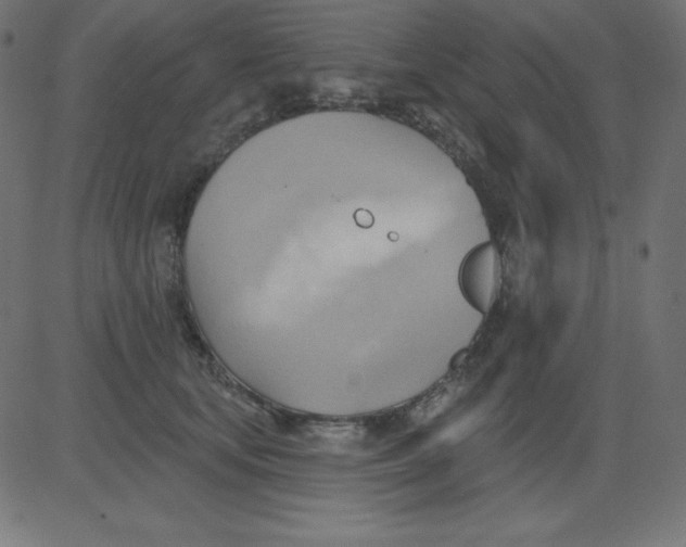 X0000081300659200702012310