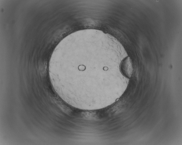 X0000081300660200702012310