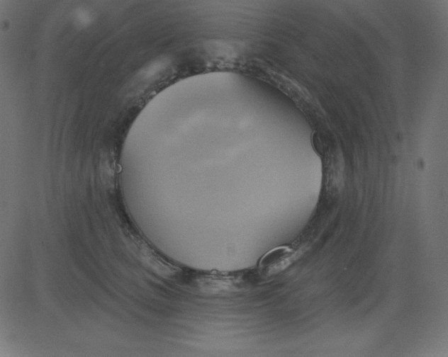 X0000081300661200702012310