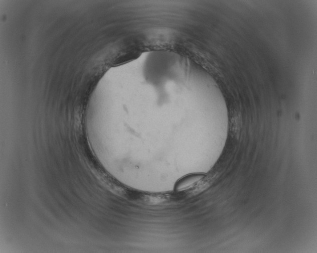 X0000081300662200702012310