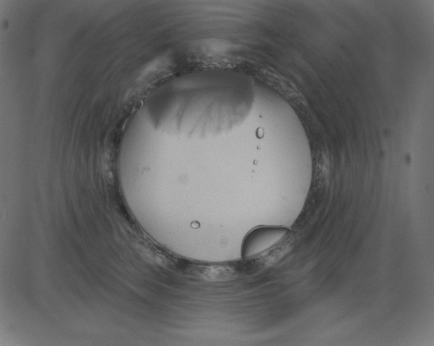 X0000081300663200702012311