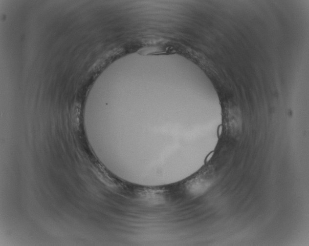 X0000081300664200702012311