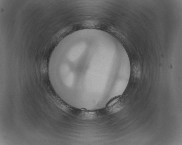 X0000081300665200702012311