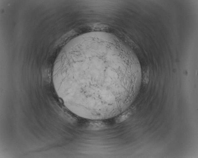 X0000081300666200702012311