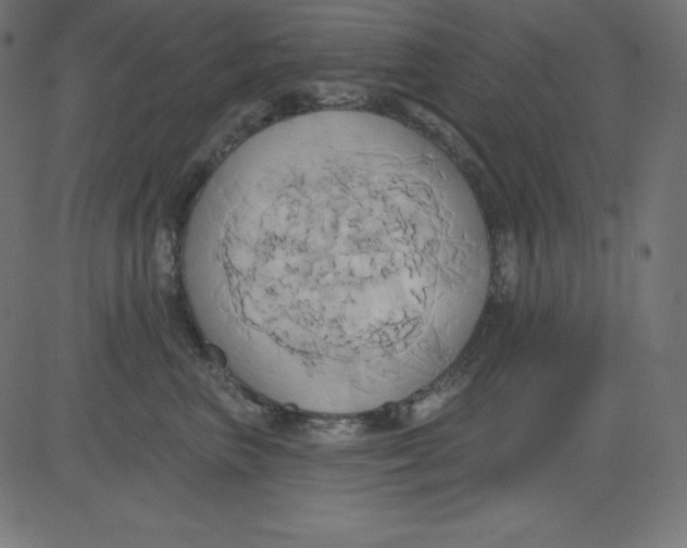 X0000081300667200702012311