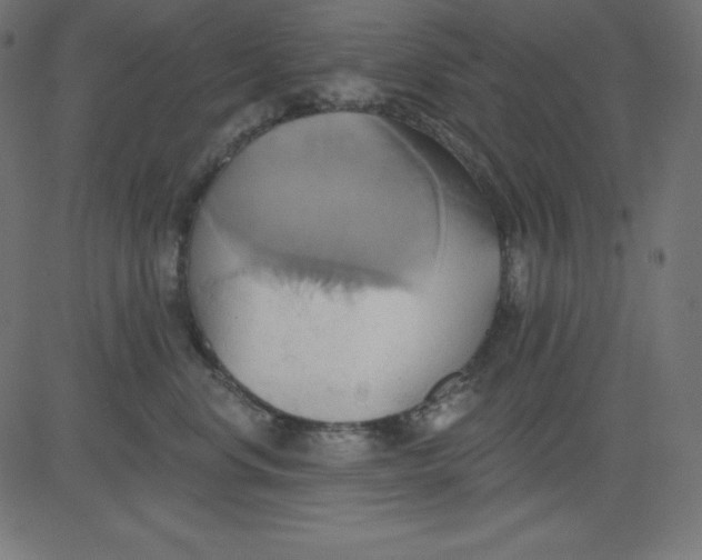 X0000081300668200702012311