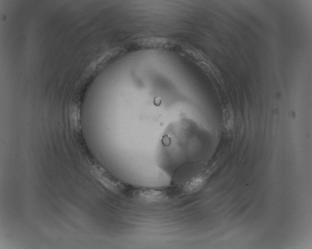 X0000081300669200702012311