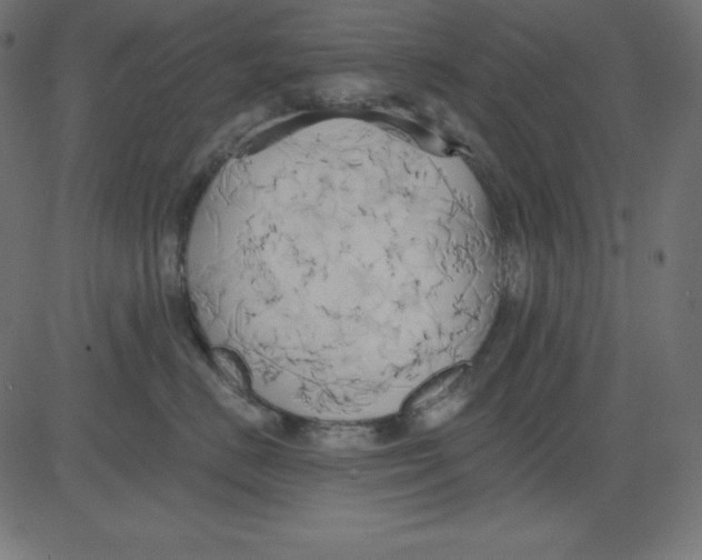 X0000081300670200702012311