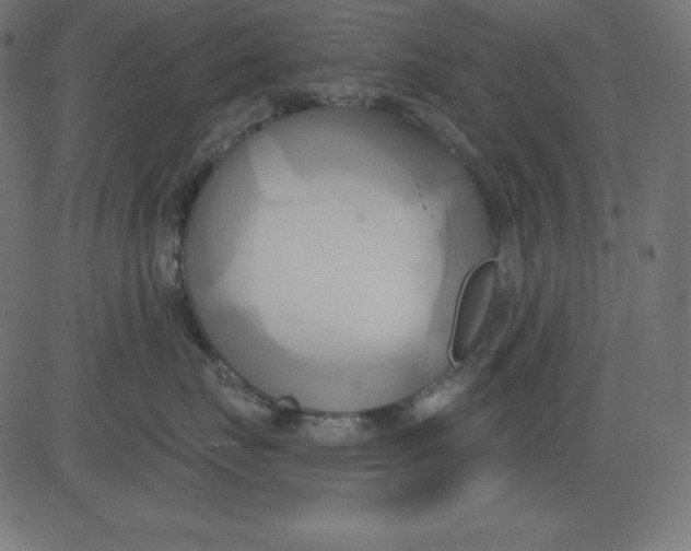 X0000081300671200702012311