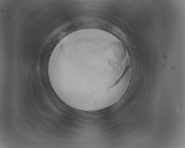 X0000081300672200702012311